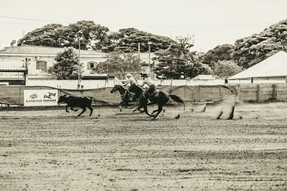 Barretos rodeo arena crowd in Brazil