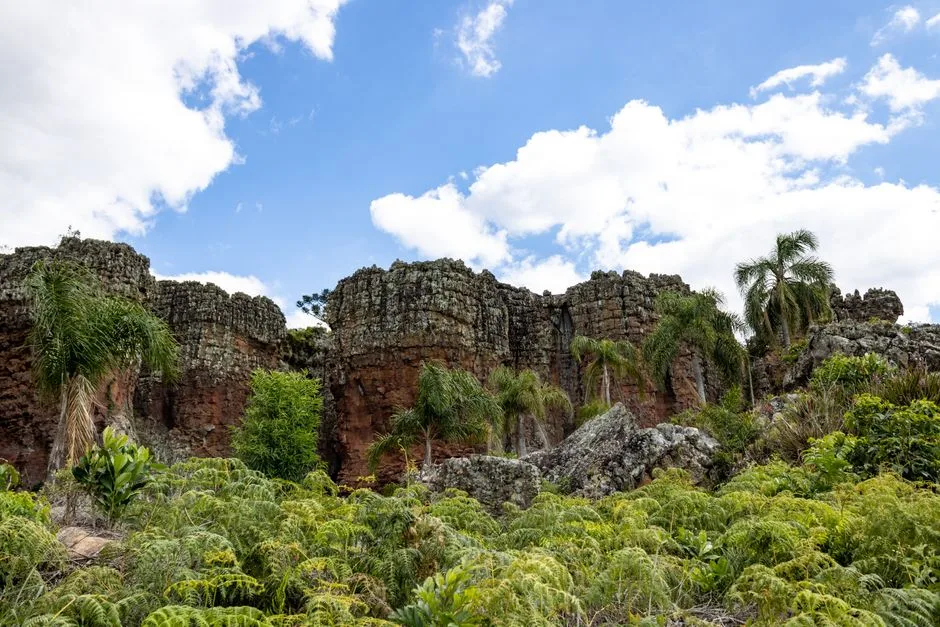 rock shelter with red paintings in Brazil
