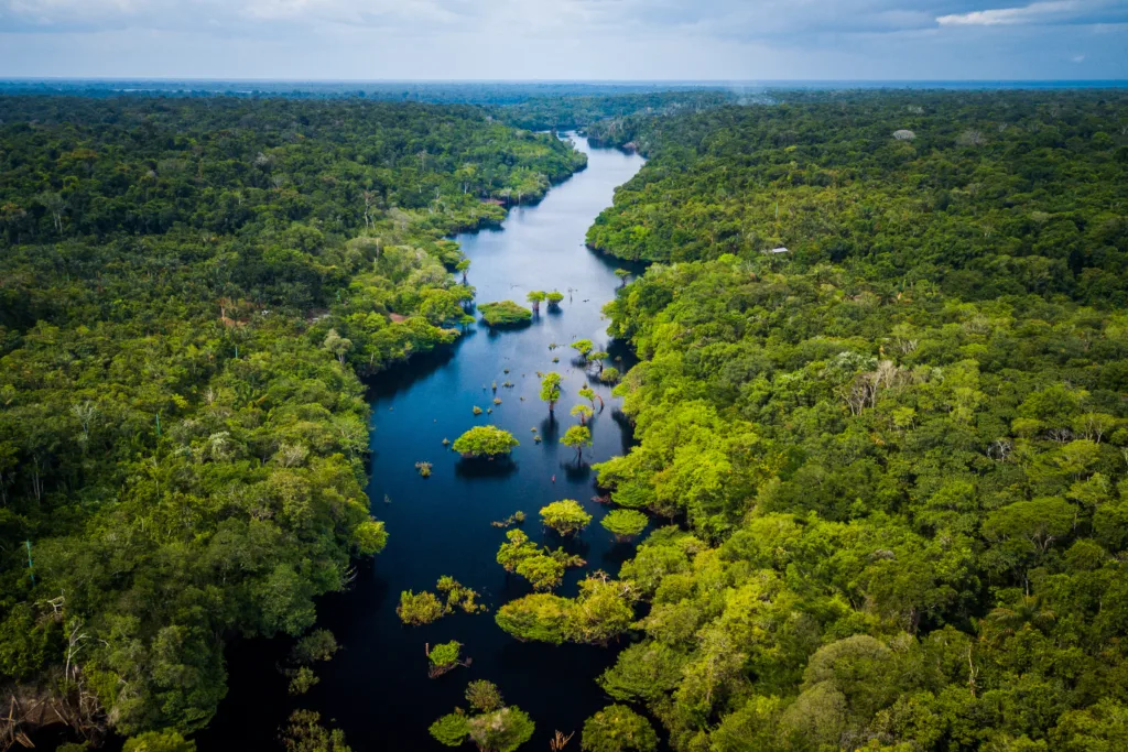 Brazil Eco-Tourism in Spring: Best Nature Destinations as Wildlife Season Shifts in Brazil
